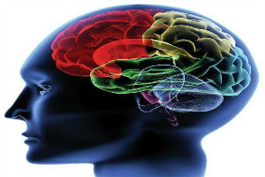 癫痫病为什么会影响智力